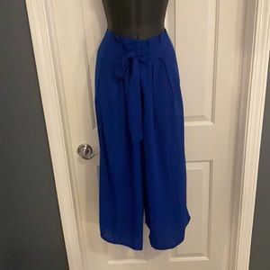 Brilliant blue high waisted, wide leg pants.